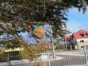 foto_017