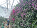 foto_004