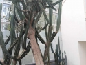foto_014