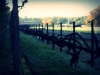 wygrane_konkurs_fotograficzny_002