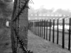 wygrane_konkurs_fotograficzny_005